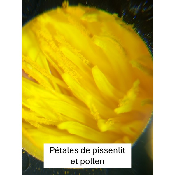 Microscope pour téléphone portable ou tablette