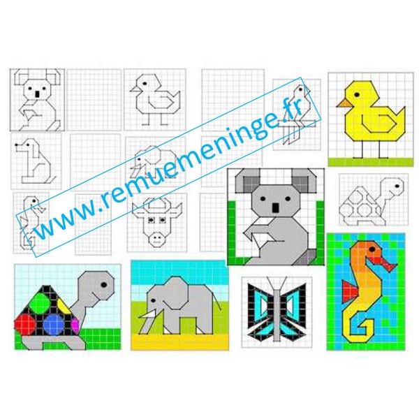 Reproduction Animaux sur quadrillage
