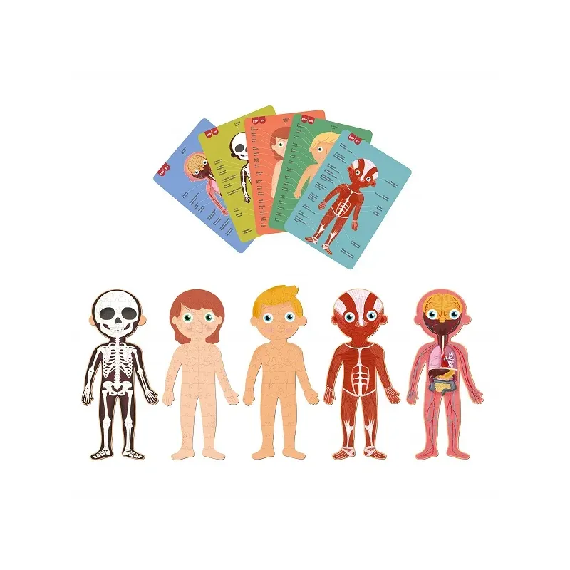 Puzzle corps humain organes internes 70 cm