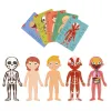 Puzzle corps humain organes internes 70 cm