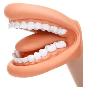 Modèle brossage de dents, mâchoire géante | Remue Méninge