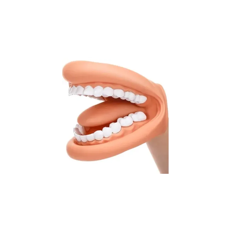 Modèle brossage de dents, mâchoire géante | Remue Méninge