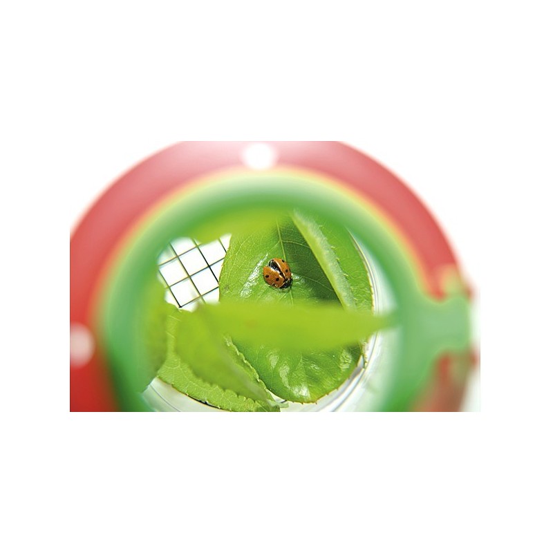 Boîte d'observation avec loupe