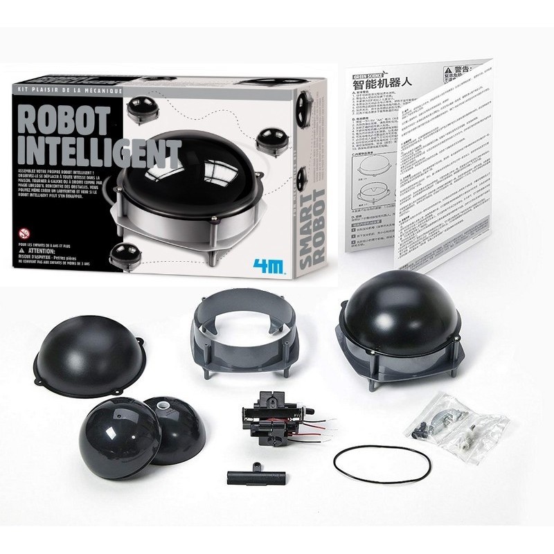 Robot Intelligent