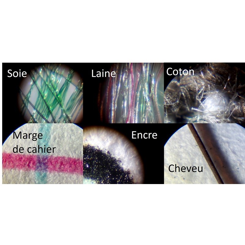 Microscope