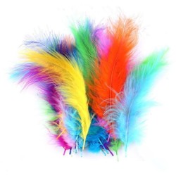 Plumes 7 à 12 cm