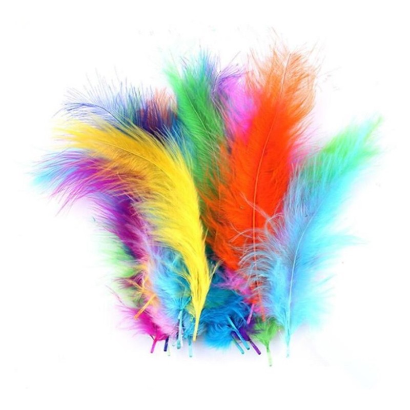 Plumes 7 à 12 cm