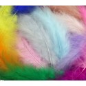 Plumes 7 à 12 cm