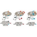 Mathsumo