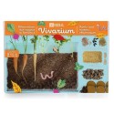 Kit Vivarium avec graines