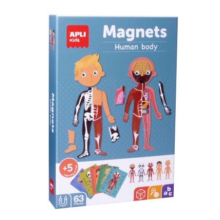 Magnets Human Body