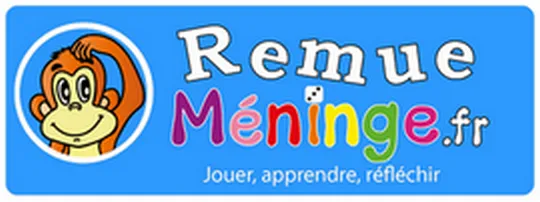 Remue Méninge